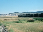 BNSF 9654